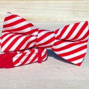 Cat Collar and Matching Bow Tie Peppermint Candy Cane Stripe Breakaway Buckle